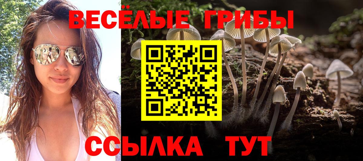Псилоцибиновые грибы прущие грибы Каспийск